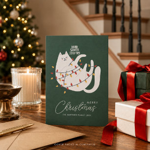 Funny Cat Frory Christmas Gruß Feiertagskarte