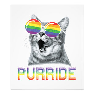 Funny Cat Gay Pride Rainbow Sunglasses LGBTQ Fotodruck
