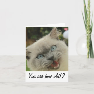 Funny Cat Geburtcard Karte