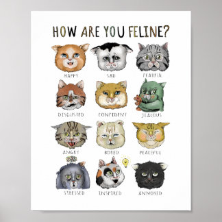 Funny Cat Gefühl Chart Wie geht es dir? Poster