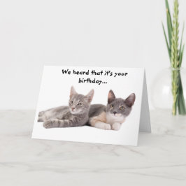 Funny Cat 'Give us Tuna' Geburtstagskarte Karte