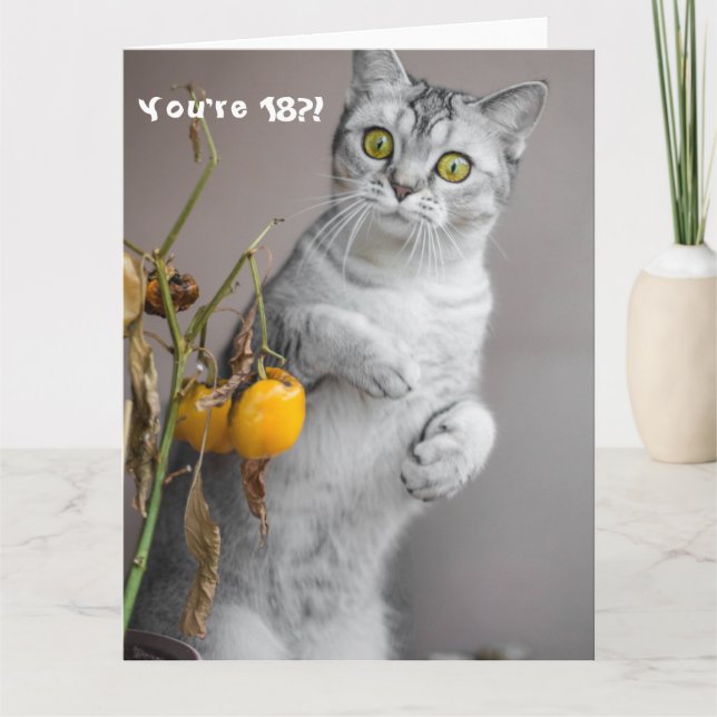 Funny Cat Happy 18. Geburtstagskarte Karte (Vorderseite)