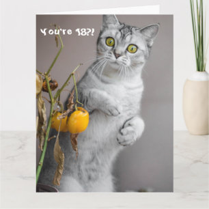 Funny Cat Happy 18. Geburtstagskarte Karte