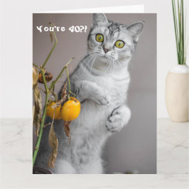Funny Cat Happy 40. Geburtstagskarte Karte