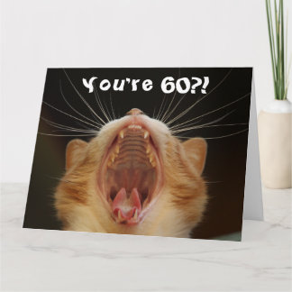 Funny Cat Happy 60. Geburtstag Karte