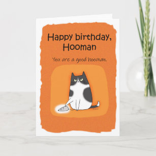 Funny Cat Happy Birthday Hooman Katze Liebhaber Ge Karte