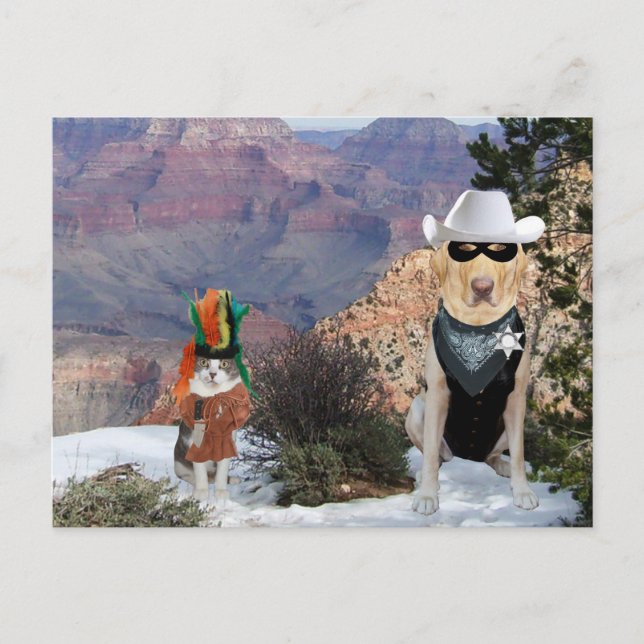 Funny Cat & Hund/Labrador Western Postkarte (Vorderseite)