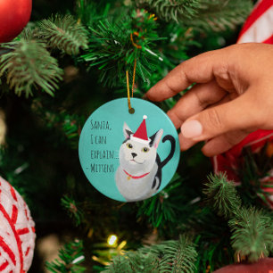 Funny Cat in der Weihnachtsmannmütze Personalisier Ornament