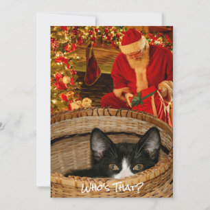 Funny Cat in einem Korb Weihnachten Weihnachten