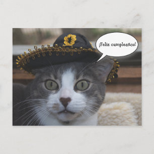 Funny Cat in Sombrero Postkarte
