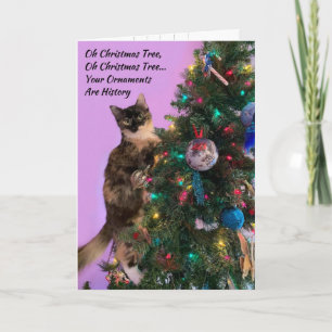 Funny Cat in Tree Eyeing Ornamente Weihnachten Karte
