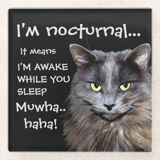 Funny Cat ist Nocturnal Evil Laugh  Glasuntersetzer (Vorderseite)