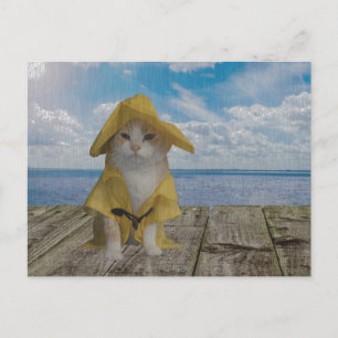 Funny Cat/Kitty in Yellow Slicker Postkarte