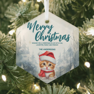 Funny Cat kitty Merry Xmas Baum Schnee Feier Ornament Aus Glas