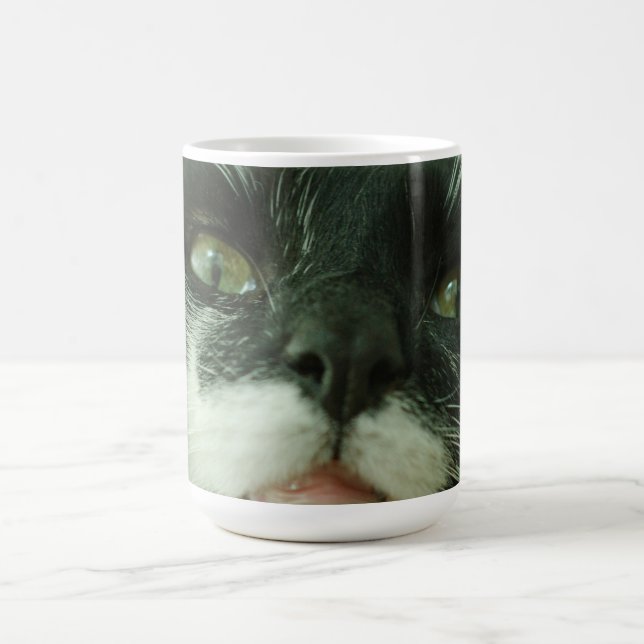 Funny Cat Kitty Pet Photo Kaffeetasse (Mittel)