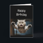 Funny Cat Lover Birthday Animal Karte<br><div class="desc">Funny Cat Lover Birthday Animal Spaß</div>