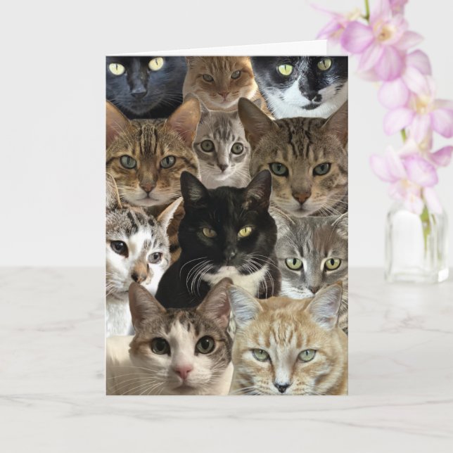 Funny Cat Lover Geburtstagskarte Karte (Orchidee)