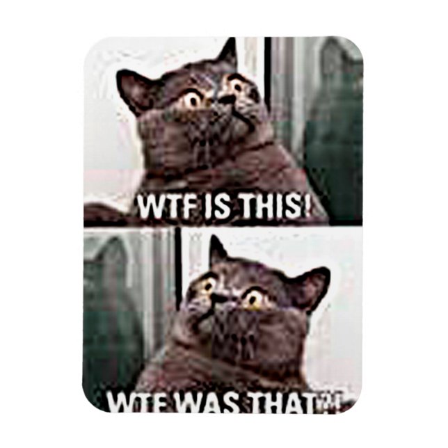 Funny Cat Magnet (Vertikal)