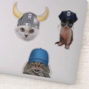 Funny Cat Memes Aufkleber