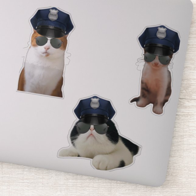 Funny Cat Memes Aufkleber (Detail)