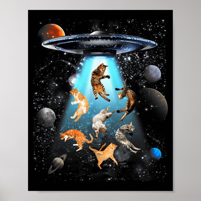 Funny Cat Men Women Graphic For Men Women Kids  Poster (Vorne)