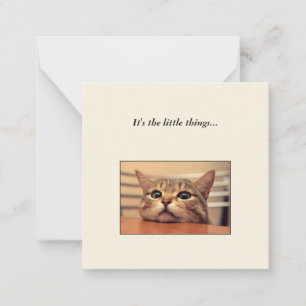 Funny Cat Mini Danke Note Card Mitteilungskarte