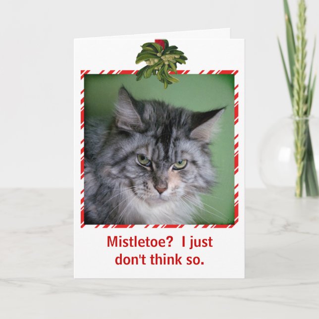 Funny Cat Mistletoe Weihnachtsgrüßkarte Feiertagskarte (Vorderseite)
