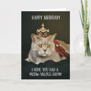 Funny Cat mit Crown Birthday Grußkarte Karte