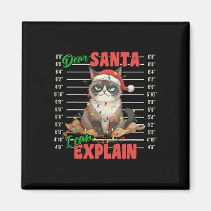 Funny Cat Mugshot Sehr geehrter Herr Santa I kann  Magnet