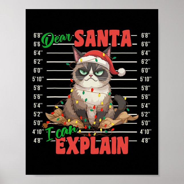 Funny Cat Mugshot Sehr geehrter Herr Santa I kann  Poster (Vorne)