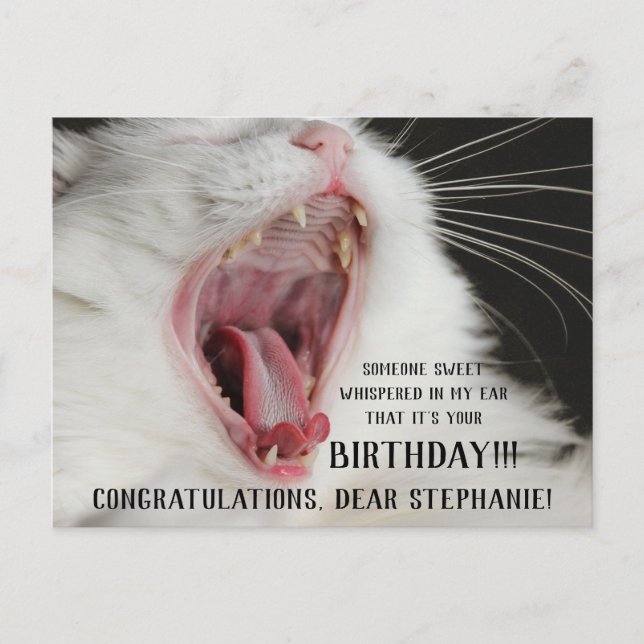 Funny Cat Niedliche Geburtstag Postcard Postkarte (Vorderseite)