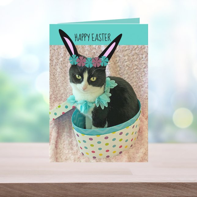 Funny Cat Ostercard Karte (Von Creator hochgeladen)