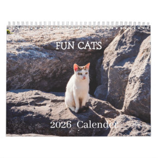 Funny Cat Photo Calendar – Whiskers and  Chaos  Kalender