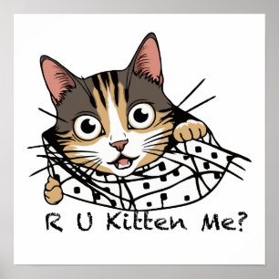 Funny Cat Pinking Sticker - Kitten Sie mich? Poster