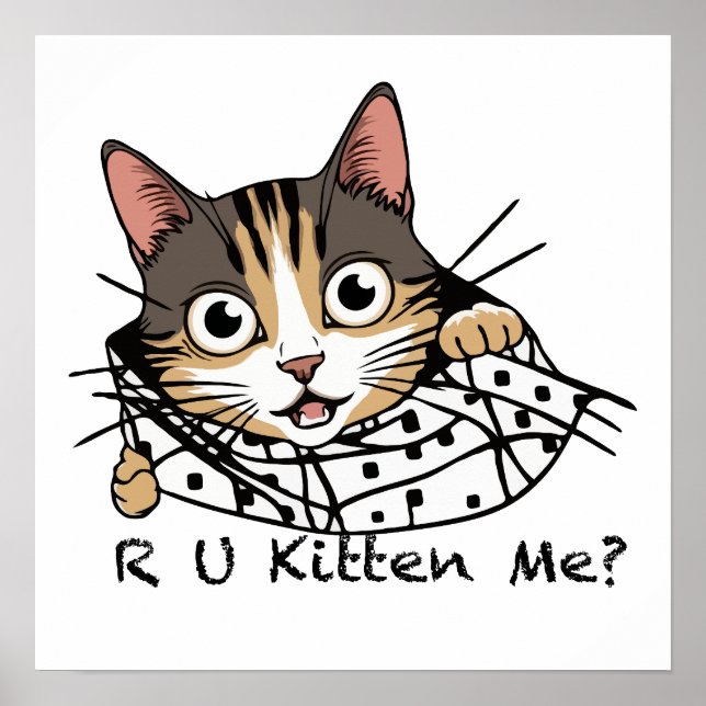 Funny Cat Pinking Sticker - Kitten Sie mich? Poster (Vorne)