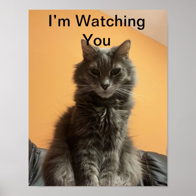 Funny Cat Poster (Vorne)