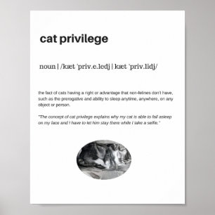 Funny Cat Privilege Slefie Plakatmatte Poster