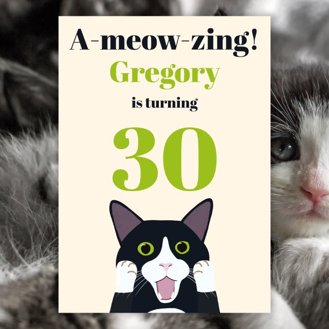 Funny Cat Pun 30. Party Einladung (Von Creator hochgeladen)