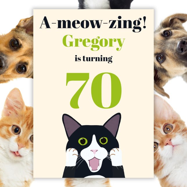 Funny Cat Pun 70. Geburtstagsfeier Einladung (Von Creator hochgeladen)