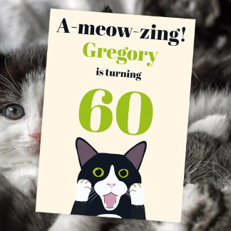 Funny Cat Pun zum 60. Geburtstag Einladung