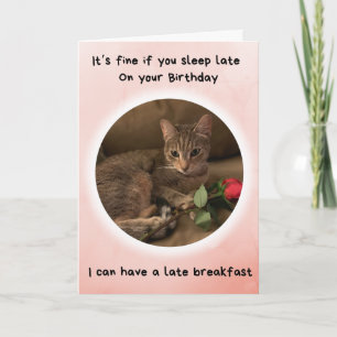 Funny Cat sagt, dass Sie am Geburtstag verspätet s Karte