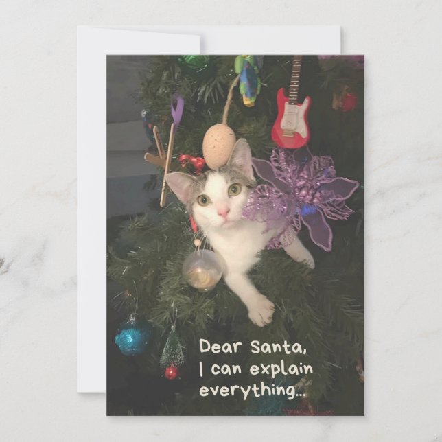 Funny Cat Santa I erklärt alles Weihnachten (Vorderseite)