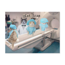 Funny Cat Scan Image