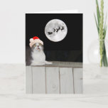 Funny Cat Sees Santa Feiertagskarte<br><div class="desc">Mikie saß auf einem Zaun und sah den Himmel an.  Sie können den Text anpassen.</div>