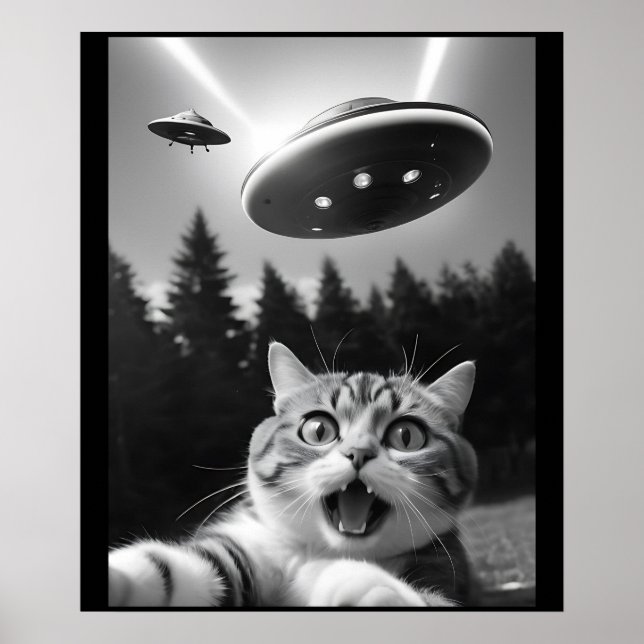 Funny Cat Selfie mit UFO-Alien Poster (Vorne)