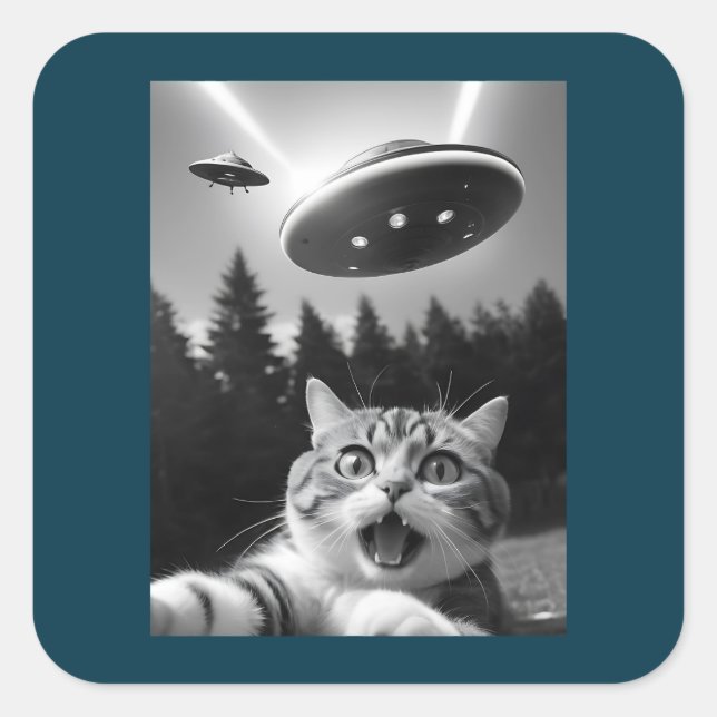 Funny Cat Selfie mit UFO-Alien Quadratischer Aufkleber (Vorderseite)
