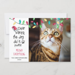 Funny Cat Sprichwort Bright Holiday Lights Foto Feiertagskarte