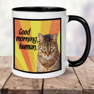 Funny Cat Tasse   Cat Foto Tasse mit lustigem Spri