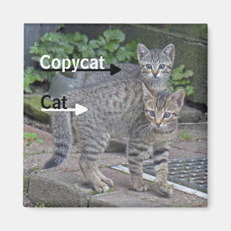 Funny Cat und Copycat Fotografie Magnet
