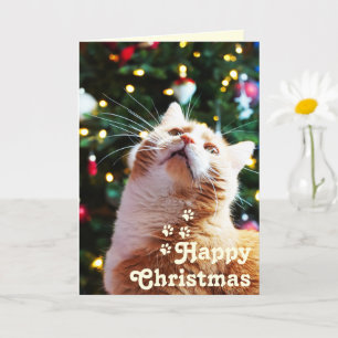 Funny Cat und Green Tree&Happy Christmas Einzigart Karte